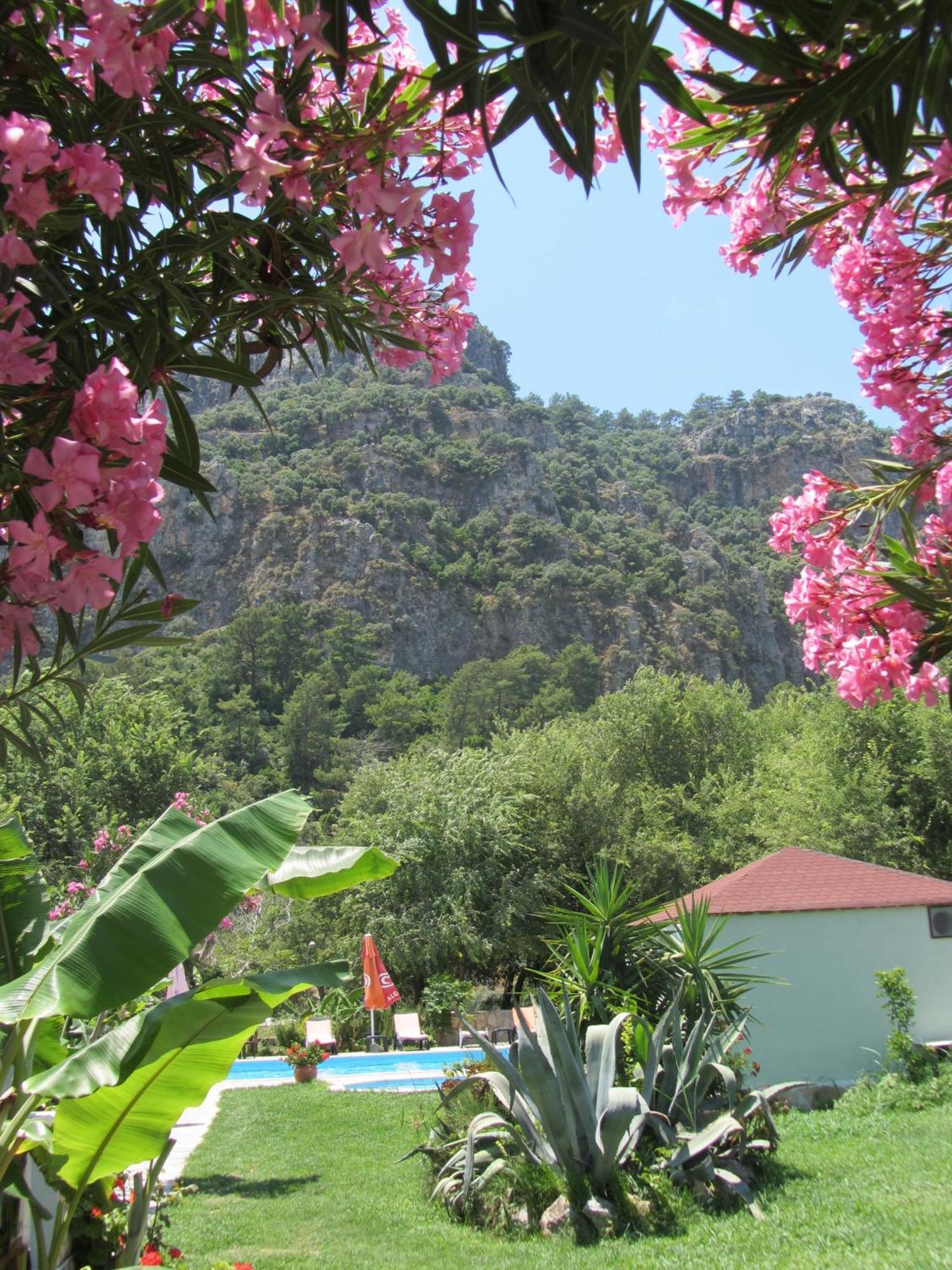 Sirius Hotel Dalyan Extérieur photo